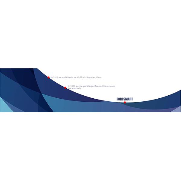 Shenzhen Foresmart International Forwarding Ltd.