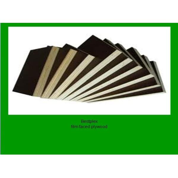 film faced plywood