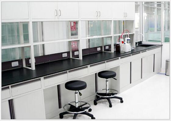 Custom School Laboratory Desk Furniture Wall Mounted Laboratory Benches