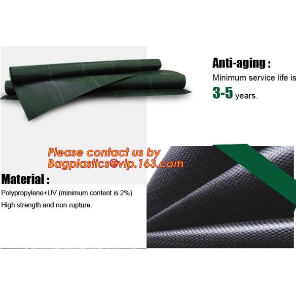 PP woven weed mat,ground cover, black fabric,weed barrier for agriculture, weed killer fabric, agricultural anti weed ma