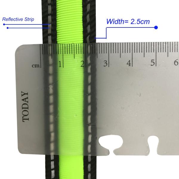 Led Flashing Strong Large Long Nylon Dog Leads , Glow In The Dark Dog Leash