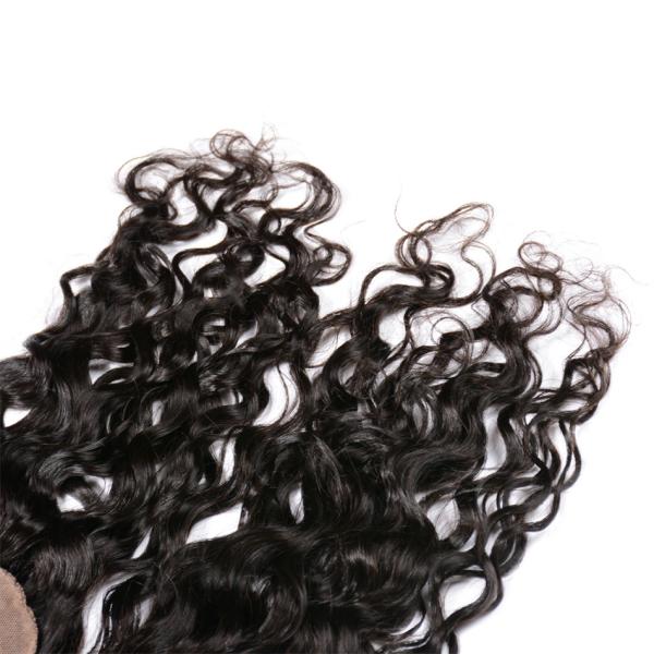 Brazilian 4x4 Silk Base Closure Water Wave Silk Base Lace Frontal Closure