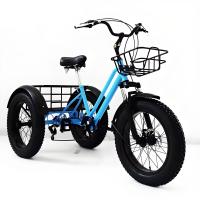 Adultos Pedal Cargo 3 Roda Pneus Gordos Bike 20*4.0 Disco Frenado 7 Velocidade Triciclo
