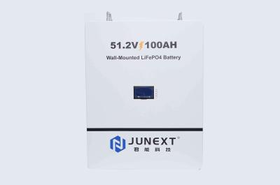 LiFePo4 Wall Mounted Battery EMS 2.5kw 48V 51.2V 100ah Solar Battery For Home