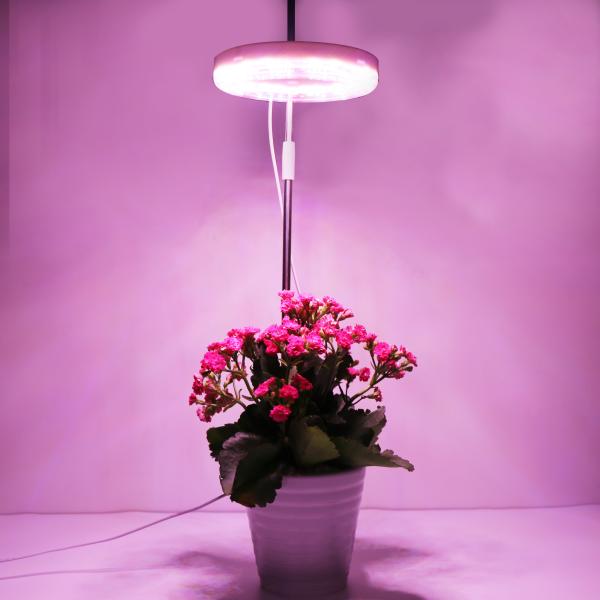 12W USB Ground Plug Light for Plants Growth Professional Manufacturers Suppliers