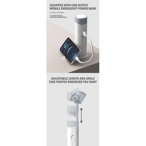 Portable LED Desk Lamp 5W Rechargeable Table Lamp with Support Dimmer and Light Source