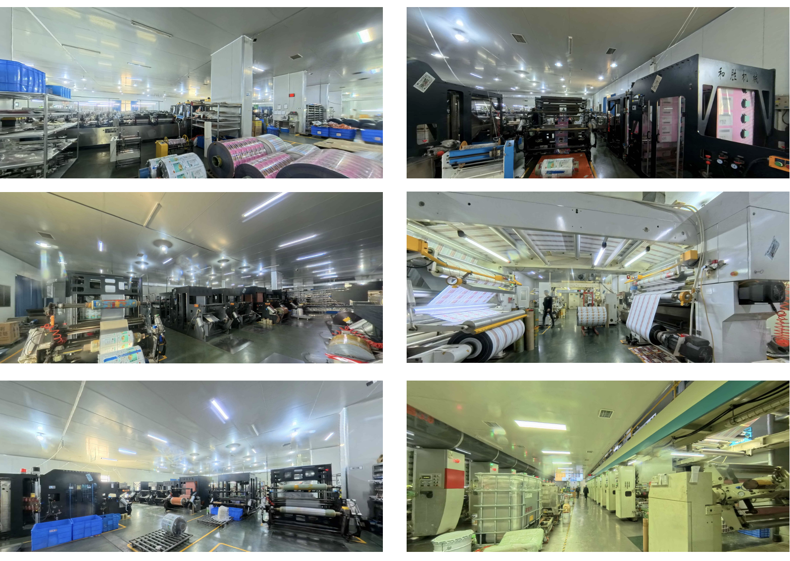 GUANGDONG HUAXING PACKAGING CO., LTD.