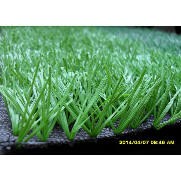 Сверчок сооружает искусственное сопротивление погоды травы