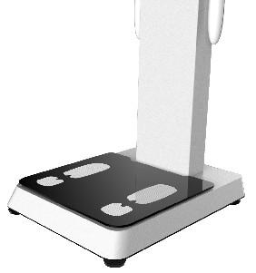 hot selling factory price for the Body Fat Scale