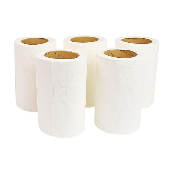 Hotel Practical Biodegradable Toilet Tissue , Odorless Jumbo Roll Tissue Paper