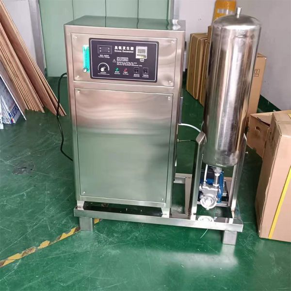 50g/h 100g/h Stainless Steel Industrial Grade Ozone Generator
