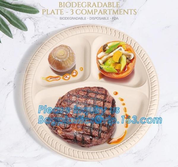Catering Eco-Friendly Container Compartment Starch lunch Meal Box, Disposable Takeaway Packaging, Takeout
