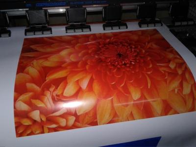 Vinil autoadesivo por atacado do fabricante de Flad para o envolvimento do carro