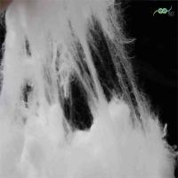 Fibre bicomposante ES de qualité blanche pour serviette