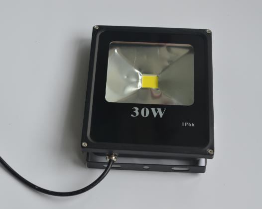 LED Flood Light 30w Aluminum Outdoor Waterproof 2 Years Warranty Low Cost Hign Quality Landscape Lighting Projection