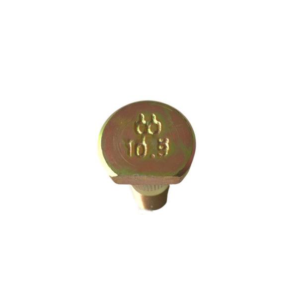 Higer BYD Bus 10.9 Grade High-Tensile Wheel Bolt Assembly 35LJP-01525 1000h Salt Spray Bus Spares