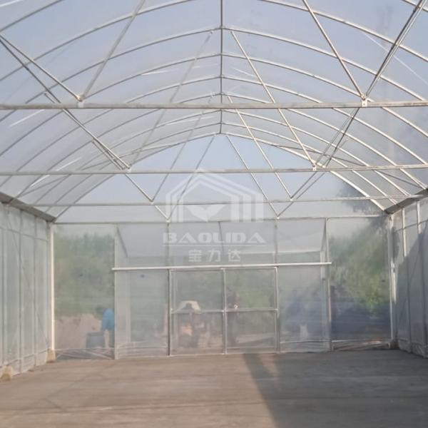 10x50m Polytunnel Berry Poly High Tunnel Greenhouse Film Tunnel Greenhouse Kit