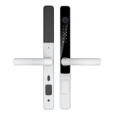 IP65 Waterproof Smart Tuya Wifi Remote Control TTlock App Digital Door Lock