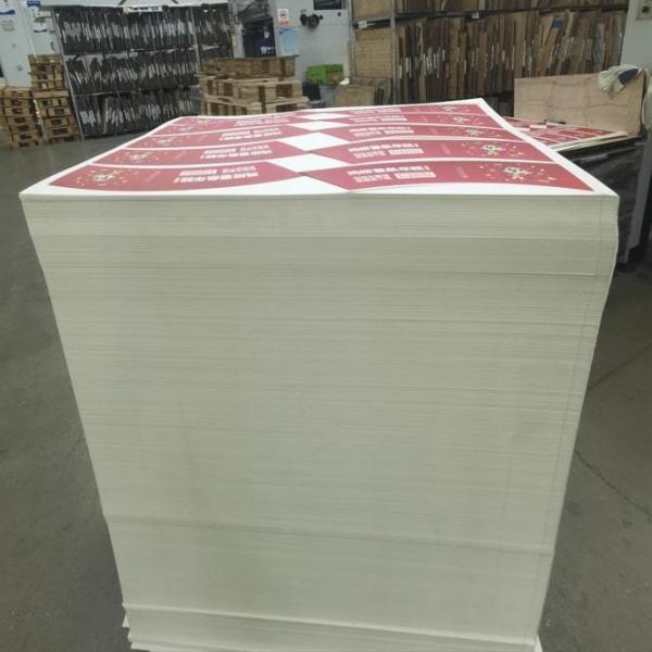 Hoja de papel recubierto de PLA para soluciones de embalaje sostenible