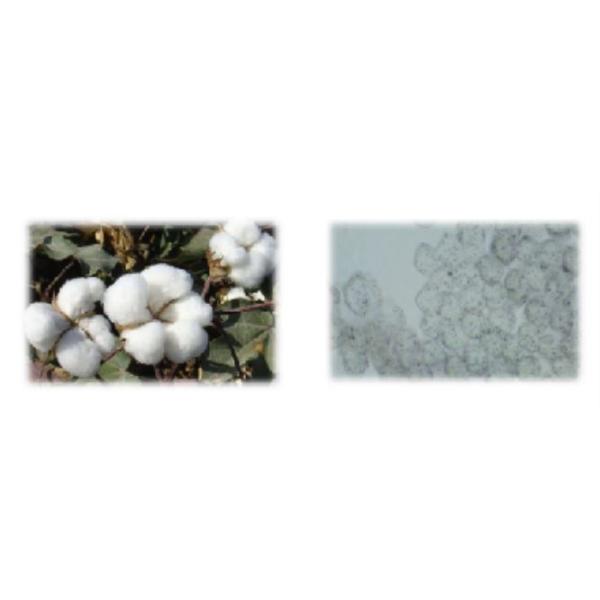 图片 1 Текстильные продукции естественных волокон противомикробные, антибактериал сплетенная ткань