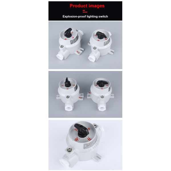 220V 10A One Two Three Switch Aluminum Alloy Box Single-control Double-control Explosion-proof Switch Wall Switch Lighting