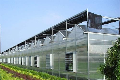 Durable Greenhouse Roof Glass Tempered Horticultural Glass Vegetable Under