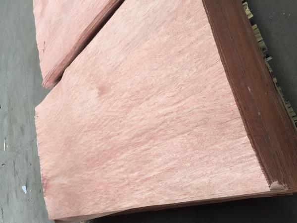 Bintangor veneer