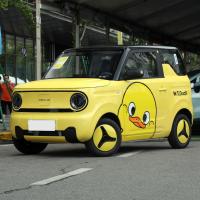 GEELY Panda Chine Mini voiture électrique EV Vitesse maximale 100 km/h Pour le transport urbain
