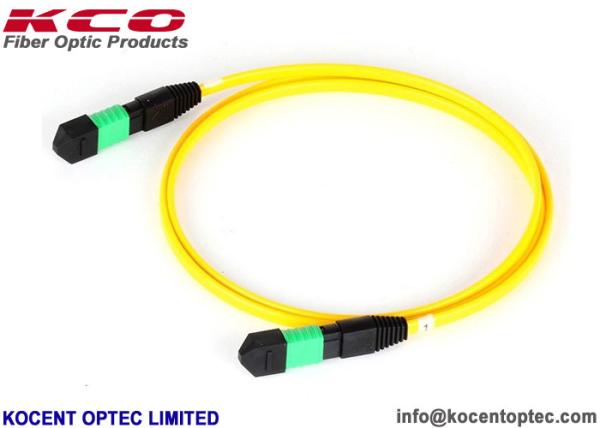 Modo G657A2 da fibra do núcleo 12 do cabo de remendo 8 do amarelo MPO MTP de LSZH único personalizado comprimento
