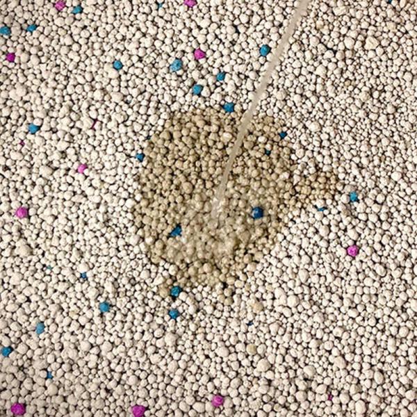 Litière agglomérante pour chats en bentonite sans poussière avec granulés désodorisants colorés et parfum