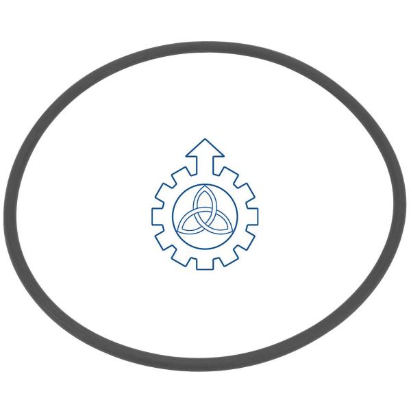  O-ring 07981661,42491028,503485146,5000808093