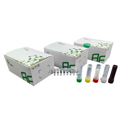Kit de detecção de SARS-CoV-2 rápido e preciso com amostragem de esfregaço nasofaringeal