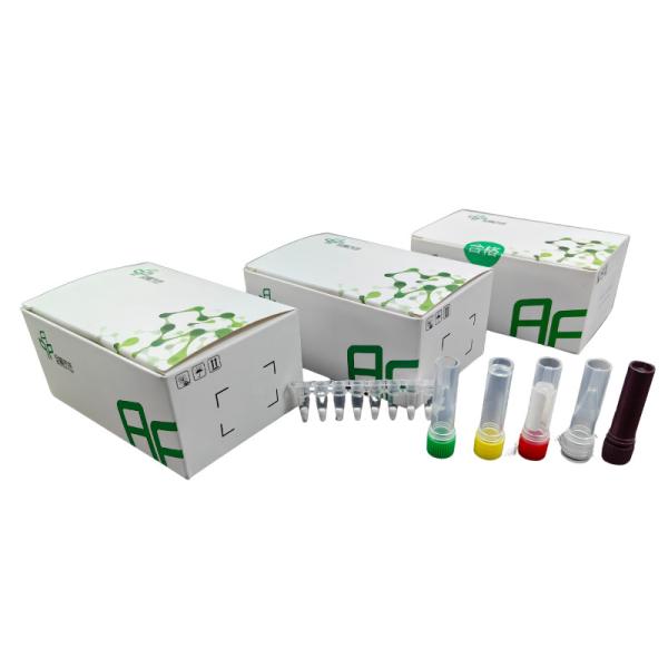 Fast And Accurate SARS-CoV-2 Detection Kit With Nasopharyngeal Swab Sampling