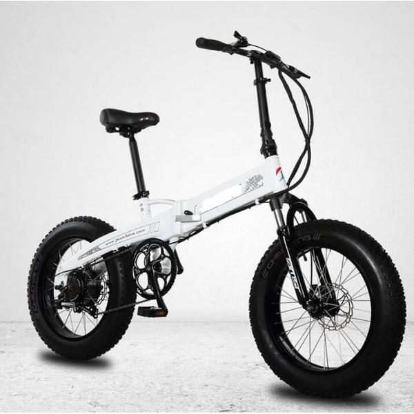 750w 20 Inch Fat Tire Electric Bike