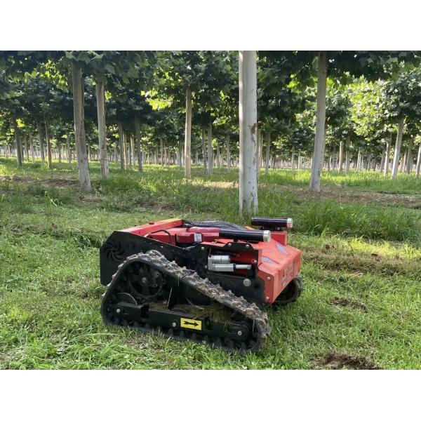 Weed Remover Agricultural Lawn Mower TUV Walk Behind Mower 550mm