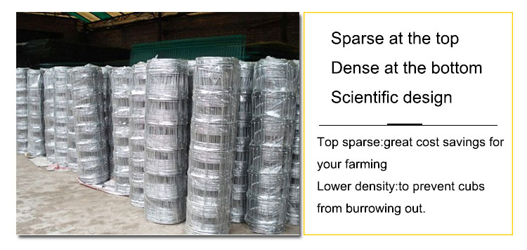 Easily Assembled Eco Friendly High Tensile Strength Farm Wire Mesh Fence and Hinge Joint Fence