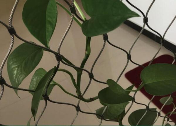 網によってカスタマイズされるサイズに上るステンレス鋼ワイヤー ロープの植物の格子垣システム