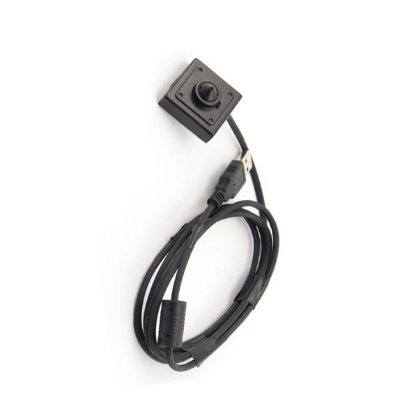 Vandal-proof Pinhole Lens MINI USB Camera for Bank's ATM machine usb cable camera