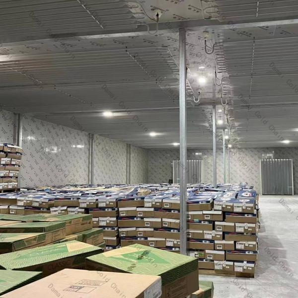 Fruit / Vegetable Freezer Cold Room Cold Storage Units Fast Assembly Large Capacity