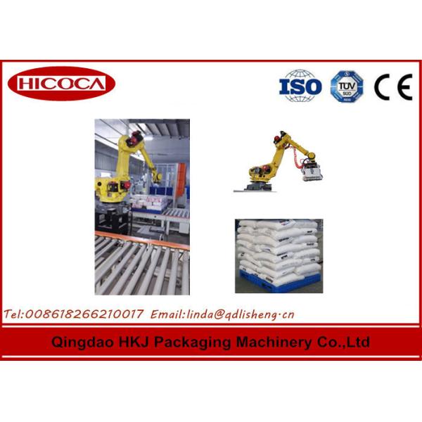 Automated Spaghetti Box Palletizing Robot / robotic packaging systems SGS
