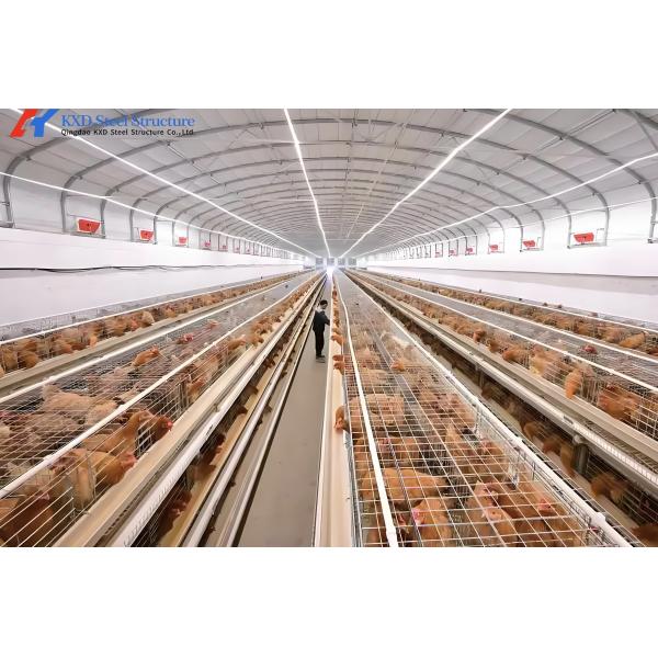 1000-Bird Broiler Chicken Cage - Steel Poultry Transport Coop