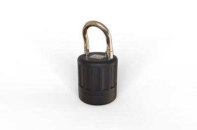 Dual Platform Outdoor Zinc Alloy Padlock Smart Integrated IP65 Waterproof