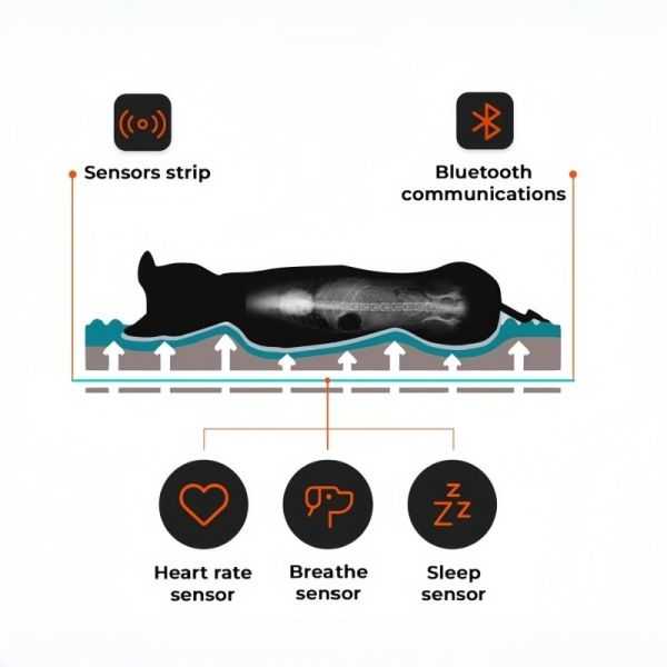 OEM Smart Dog Bed With Health Monitoring, APP Track Sleep/Heart/Breath For Puppy Senior Dog Peace Of Mind