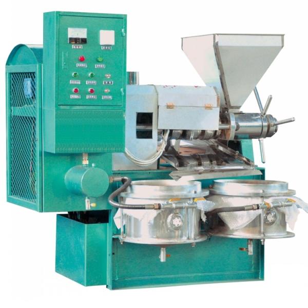 Compact 1500w Walnut Oil Press Machine Automatic For Professional Use
