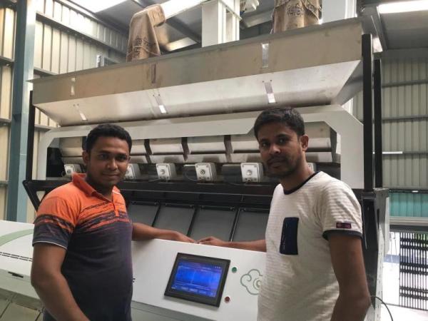 Mini Oats Barley Grain Cereal Wheat Color Sorter LED Variable Light