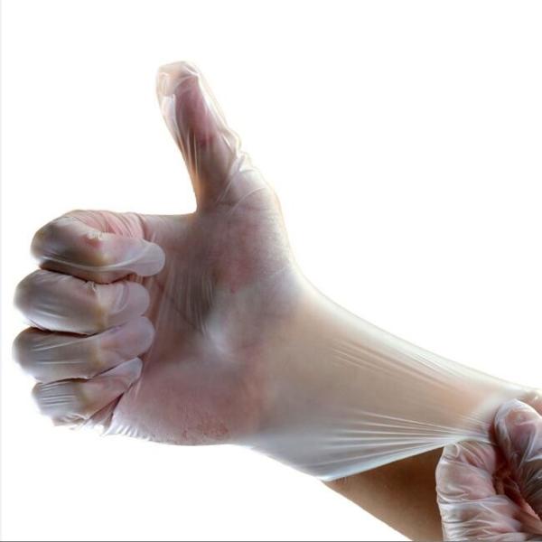 Long Disposable Vinyl Glove No Natural Latex Protein For Food Preperation
