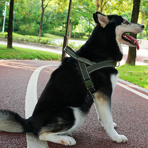 Oem Odm Custom Dog Accessories Leash And Harness Collar Tactical Designer Custom Safety Pet Dog Harness Set Dog Pet Harness