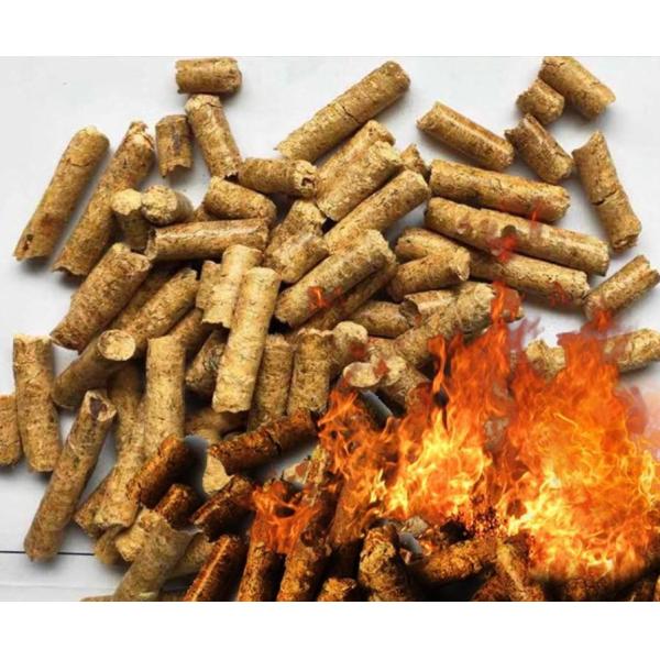 200-300kg/H Wood Pellet Machine 7.5kw Motor