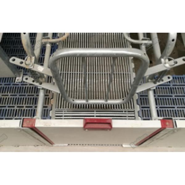 baby pig used nursery weaning crate weaning fence for piglets