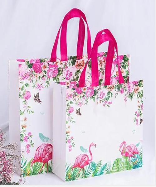Wholesale Eco-Friendly PP non woven Reuseable Shopping Bag Laminated Handled Bag